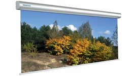 Bildschirm für Beamer Projecta Master Electrol 400x400, Diagonale: 222''
