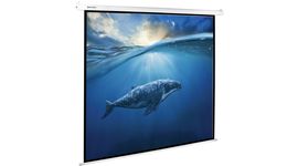 Bildschirm für Beamer Brauberg Moto 178x178 (236733), Diagonale: 100''