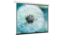 Bildschirm für Beamer ViewScreen Breston 394x246 (EBR-16109), Diagonale: 182''