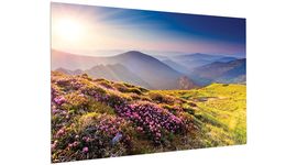 Bildschirm für Beamer Projecta FullVision 300x188, Diagonale: 139''