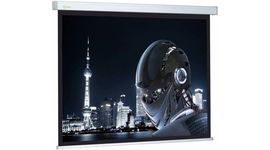 Bildschirm für Beamer CACTUS Wallscreen 274x206, Diagonale: 135''