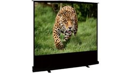 Bildschirm für Beamer Sakura Cinema Standscreen 163x122 (SCPSF-122x163), Diagonale: 80''