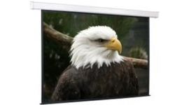 Bildschirm für Beamer ScreenMedia Champion 406x305, Diagonale: 193''