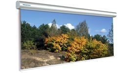 Bildschirm für Beamer Projecta Master Electrol 400x300, Diagonale: 197''