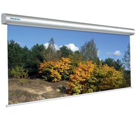 Bildschirm für Beamer Projecta Master Electrol 400x400, Diagonale: 222''