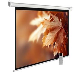 Bildschirm für Beamer CACTUS MotoExpert 300x188 (CS-PSME-300x188-WT), Diagonale: 140''