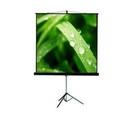 Bildschirm für Beamer ViewScreen Clamp Pro 236x236, Diagonale: 317''