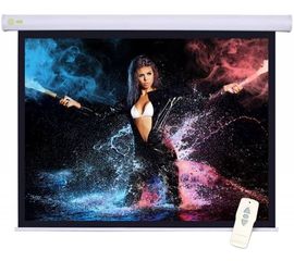 Bildschirm für Beamer CACTUS Motoscreen 221x125, Diagonale: 100''