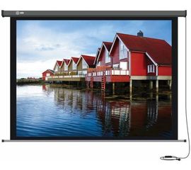 Bildschirm für Beamer CACTUS Professional Motoscreen 299x168, Diagonale: 135''