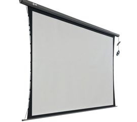 Bildschirm für Beamer CACTUS Professional Tension Motoscreen 274x206, Diagonale: 135''