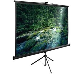 Bildschirm für Beamer CACTUS TriExpert 220x165 (CS-PSTE-220х165-BK), Diagonale: 110''