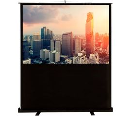 Bildschirm für Beamer CACTUS FloorCompactExpert 120x68 (CS-PSFLCE-120X68), Diagonale: 54''