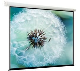 Bildschirm für Beamer ViewScreen Breston 236x148, Diagonale: 110''