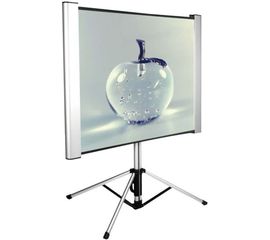 Bildschirm für Beamer CACTUS TriAlExpert 180x102 (CS-PSTALE-180X102), Diagonale: 83''