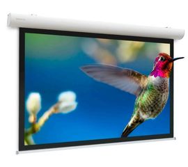 Bildschirm für Beamer Projecta Elpro Concept Electrol 360x207, Diagonale: 158''