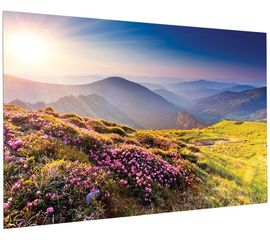 Bildschirm für Beamer Projecta FullVision 220x124, Diagonale: 100''