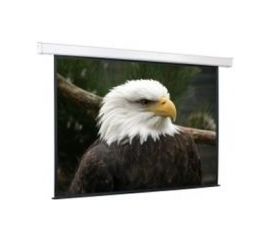 Bildschirm für Beamer ScreenMedia Champion 236x175, Diagonale: 114''