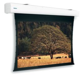 Bildschirm für Beamer Projecta Tensioned Elpro Large Electrol 400x300, Diagonale: 191''