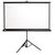 Bildschirm für Beamer Classic Solution Crux S 220x220, Diagonale: 122''
