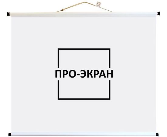 Bildschirm für Beamer Pro-Ekran Screen 125x125, Diagonale: 70'', bild 2