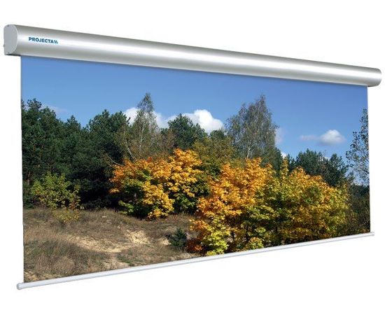 Bildschirm für Beamer Projecta Master Electrol 400x400, Diagonale: 222'', bild 2