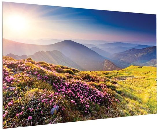 Bildschirm für Beamer Projecta FullVision 550x344, Diagonale: 256'', bild 2