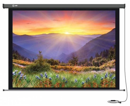 Bildschirm für Beamer CACTUS Professional Motoscreen 299x168, Diagonale: 135'', bild 3