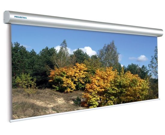 Bildschirm für Beamer Projecta Master Electrol 500x375, Diagonale: 246'', bild 2