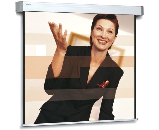 Bildschirm für Beamer Projecta Elpro Electrol 300x173, Diagonale: 131'', bild 6