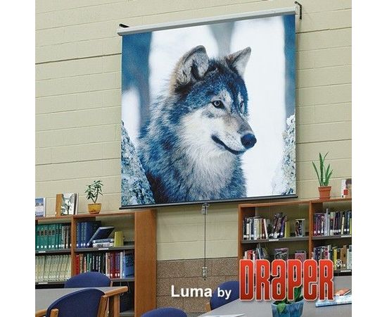 Bildschirm für Beamer Draper Luma 254/100', Diagonale: 100'', bild 4