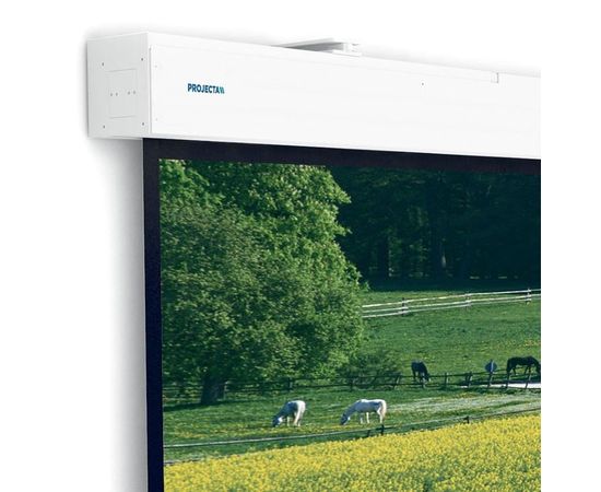 Bildschirm für Beamer Projecta Elpro Large Electrol 350x265, Diagonale: 167'', bild 4