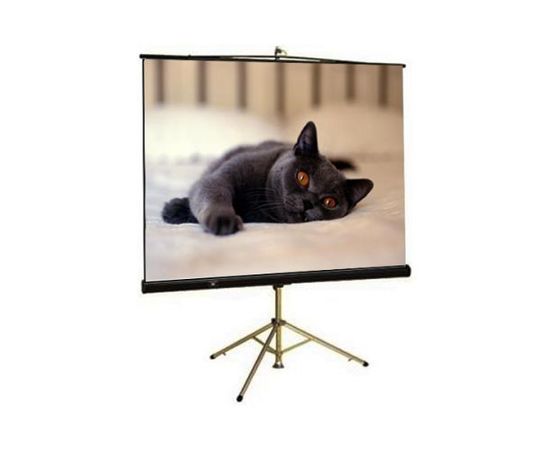 Bildschirm für Beamer Draper Diplomat 213/84', Diagonale: 84'', bild 3